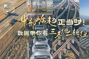 ?朝花夕拾！2010欧冠决赛国米首发，图中缺少的三名球员是？